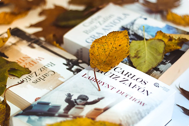 Autumn Books and Leaves
